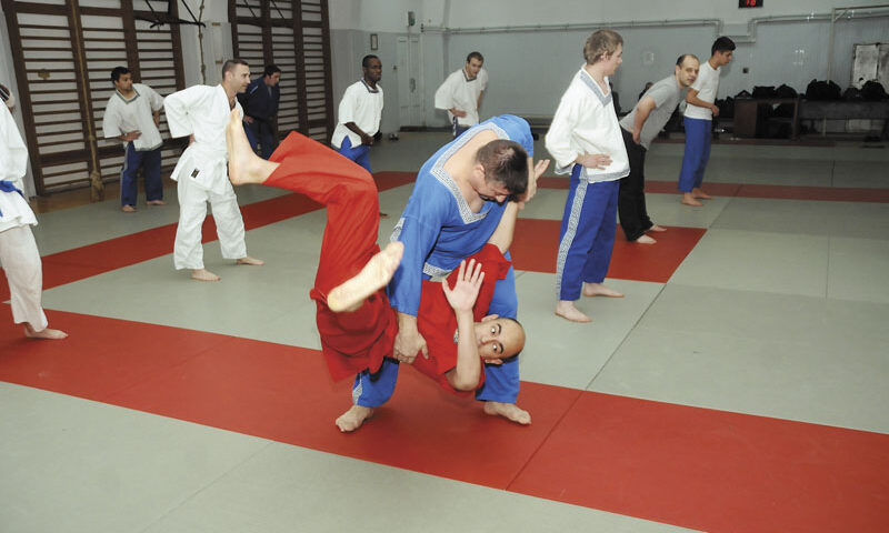 Pangration – destin, nu meserie